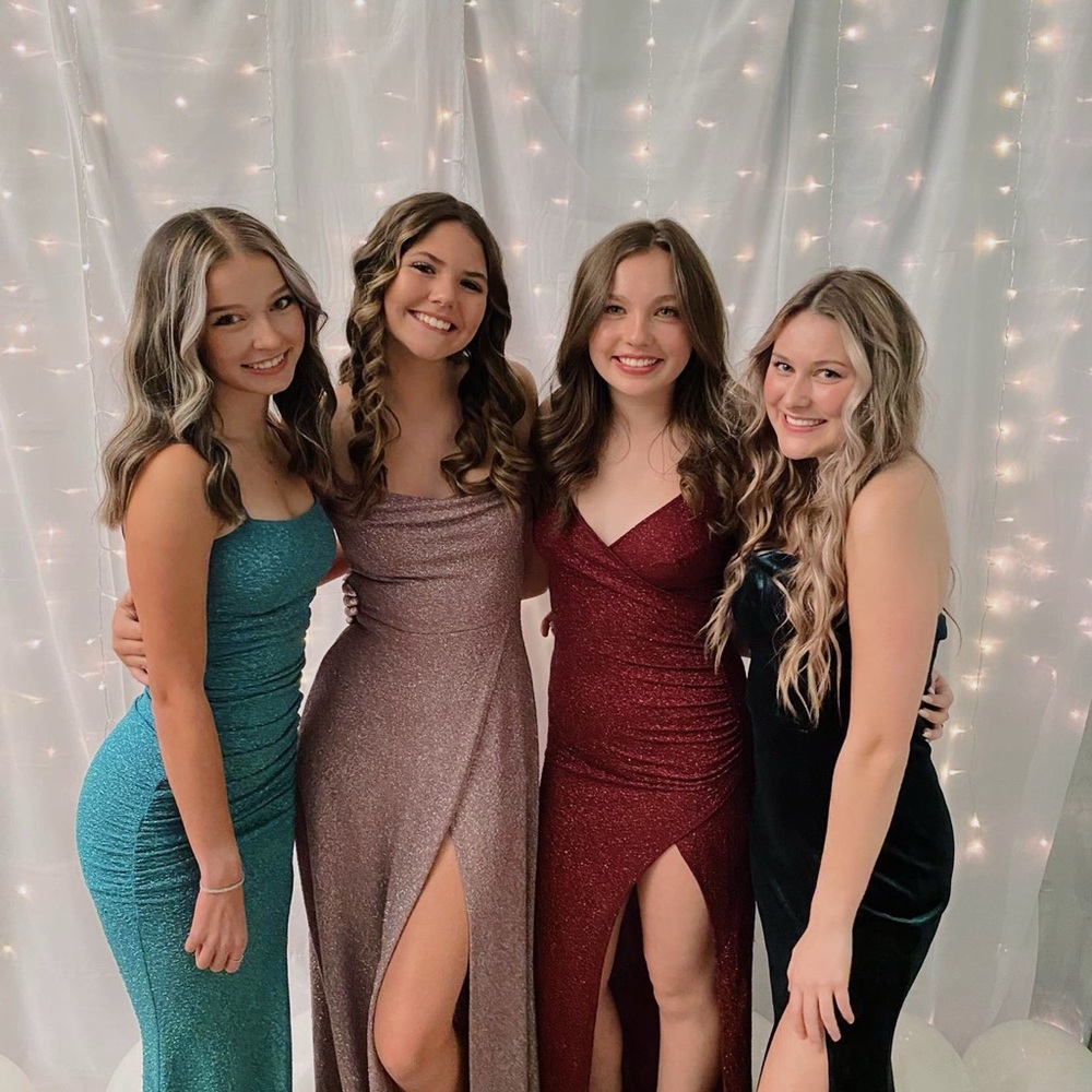 Windsor Glittering Prom Dress in Rose